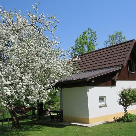 Pocitniska Hiska Jager Cezsoca Villa Bagian luar foto