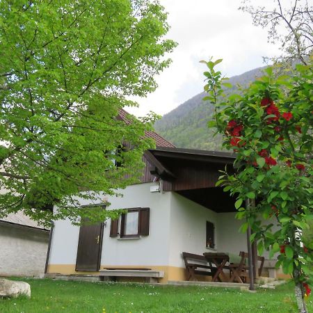 Pocitniska Hiska Jager Cezsoca Villa Bagian luar foto
