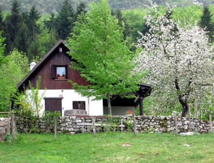 Pocitniska Hiska Jager Cezsoca Villa Bagian luar foto