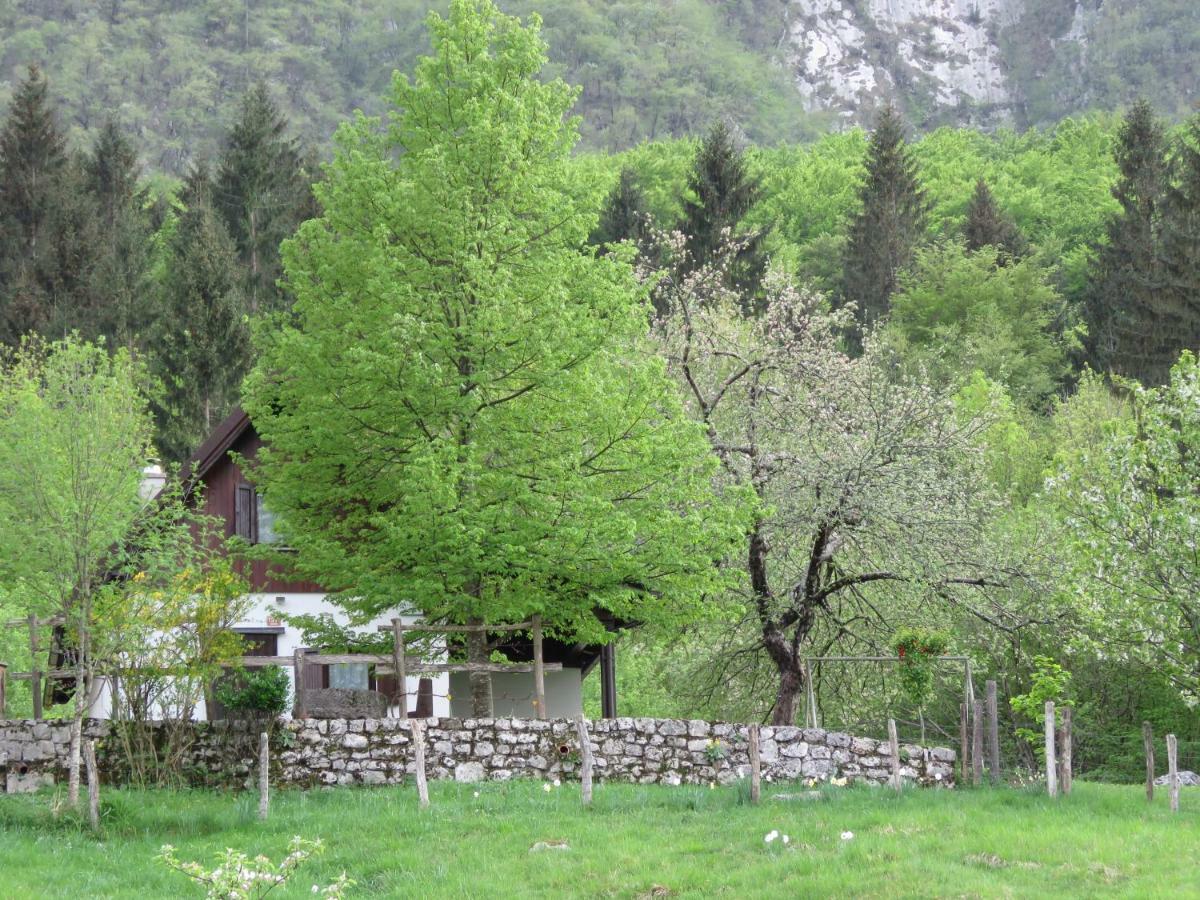 Pocitniska Hiska Jager Cezsoca Villa Bagian luar foto
